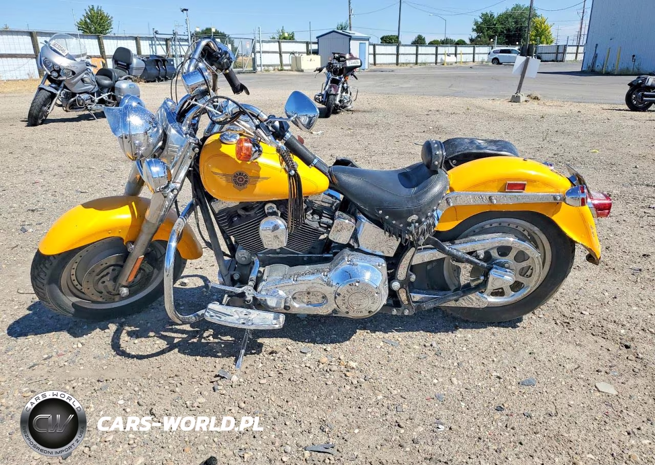 2000 Harley-Davidson Flstf VIN:1HD1BMY16YY046740 - 3