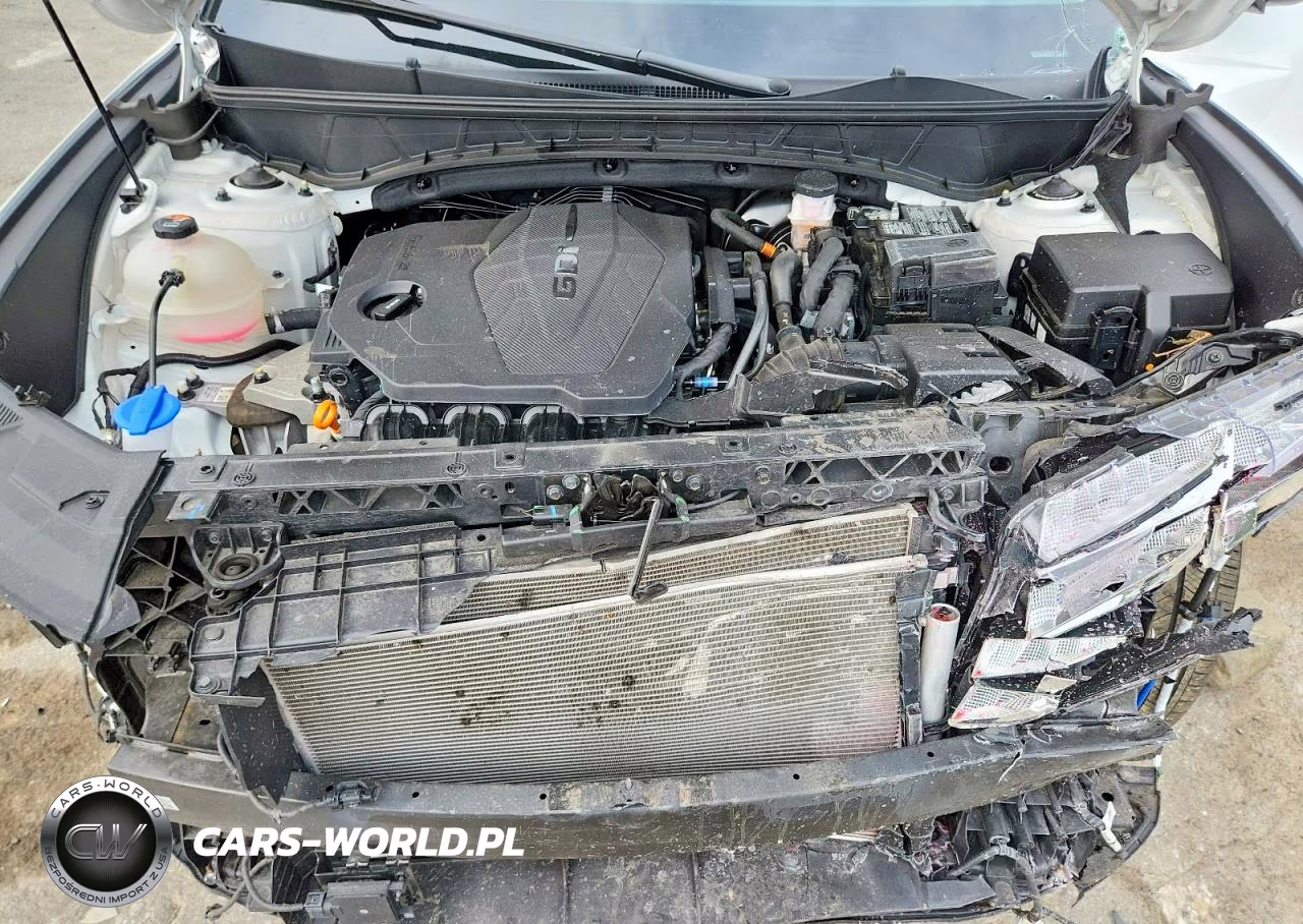 2024 Hyundai Tucson Sel VIN:5NMJFCDE1RH366038 - 12