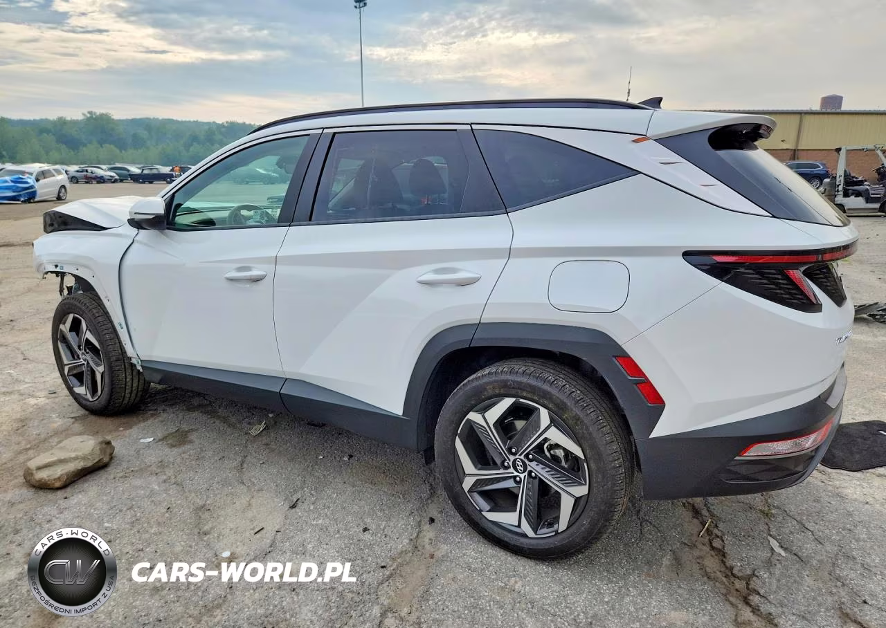 2024 Hyundai Tucson Sel VIN:5NMJFCDE1RH366038 - 2