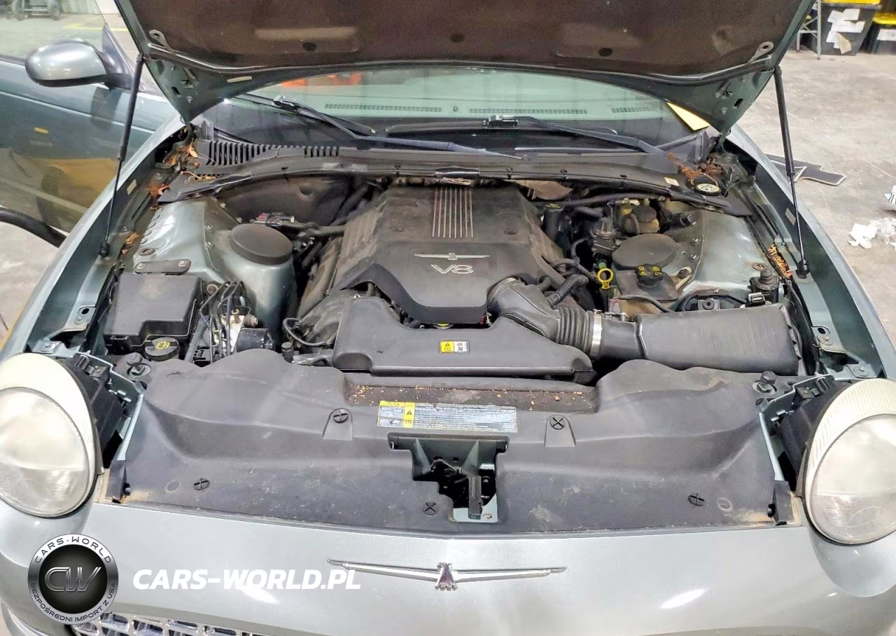 2004 Ford Thunderbird Pacific Coast VIN:1FAHP63AX4Y107558 - 11