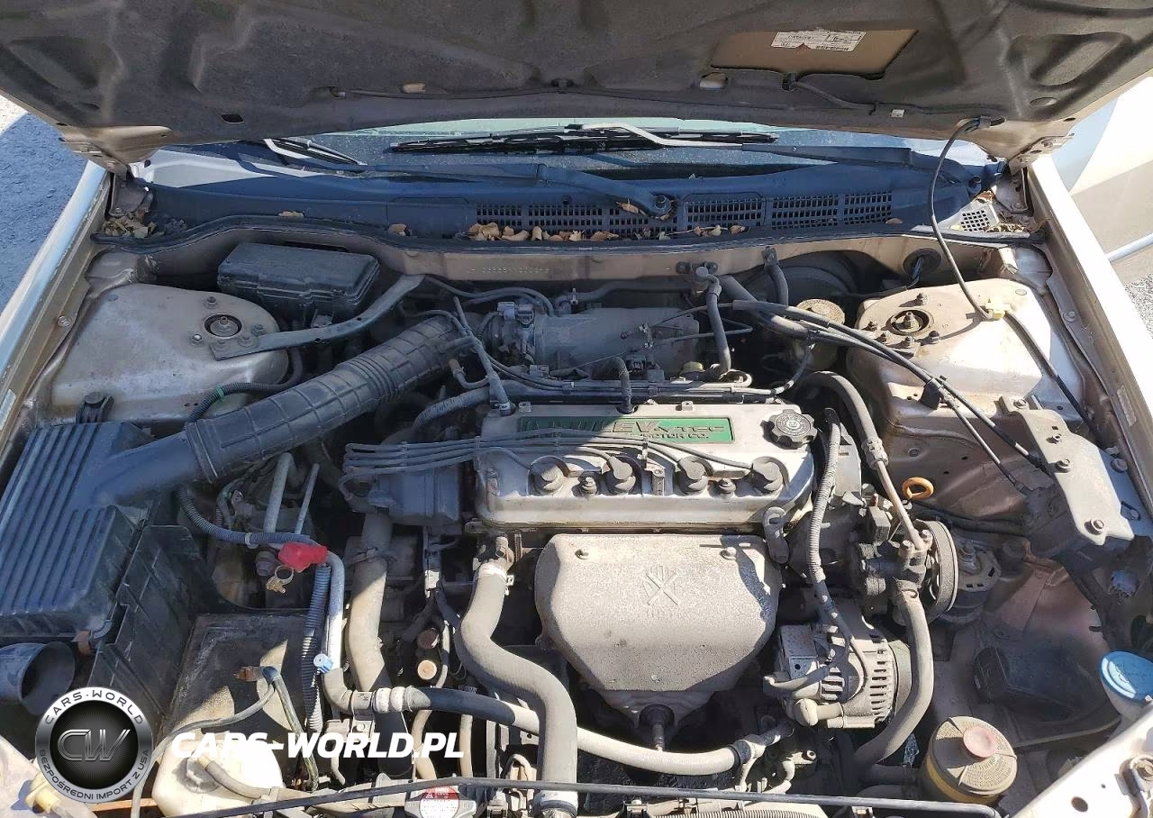 2000 Honda Accord Lx VIN:JHMCG665XYC002958 - 11