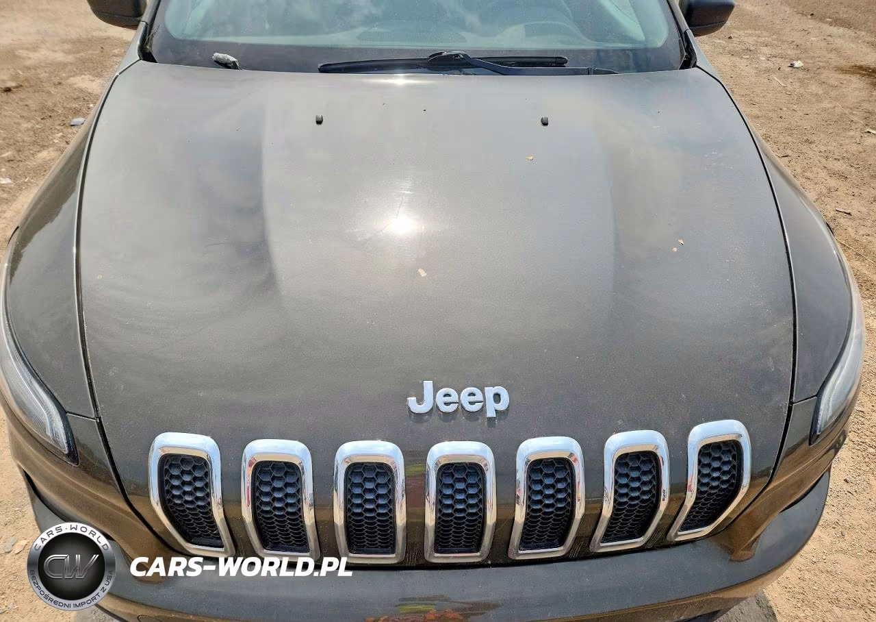 2014 Jeep Cherokee Sport VIN:1C4PJMAB5EW260773 - 11