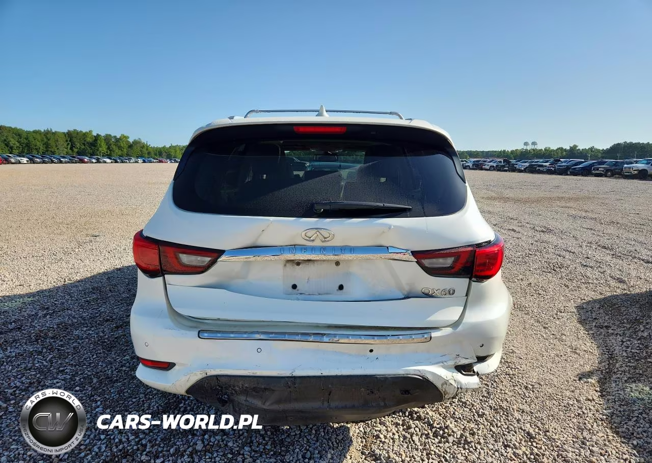 2019 Infiniti Qx60 Luxe VIN:5N1DL0MN8KC502413 - 6