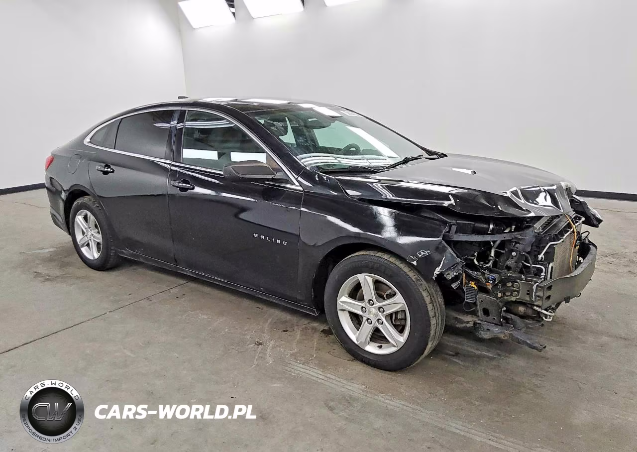 2019 Chevrolet Malibu Ls VIN:1G1ZB5ST5KF197102 - 4