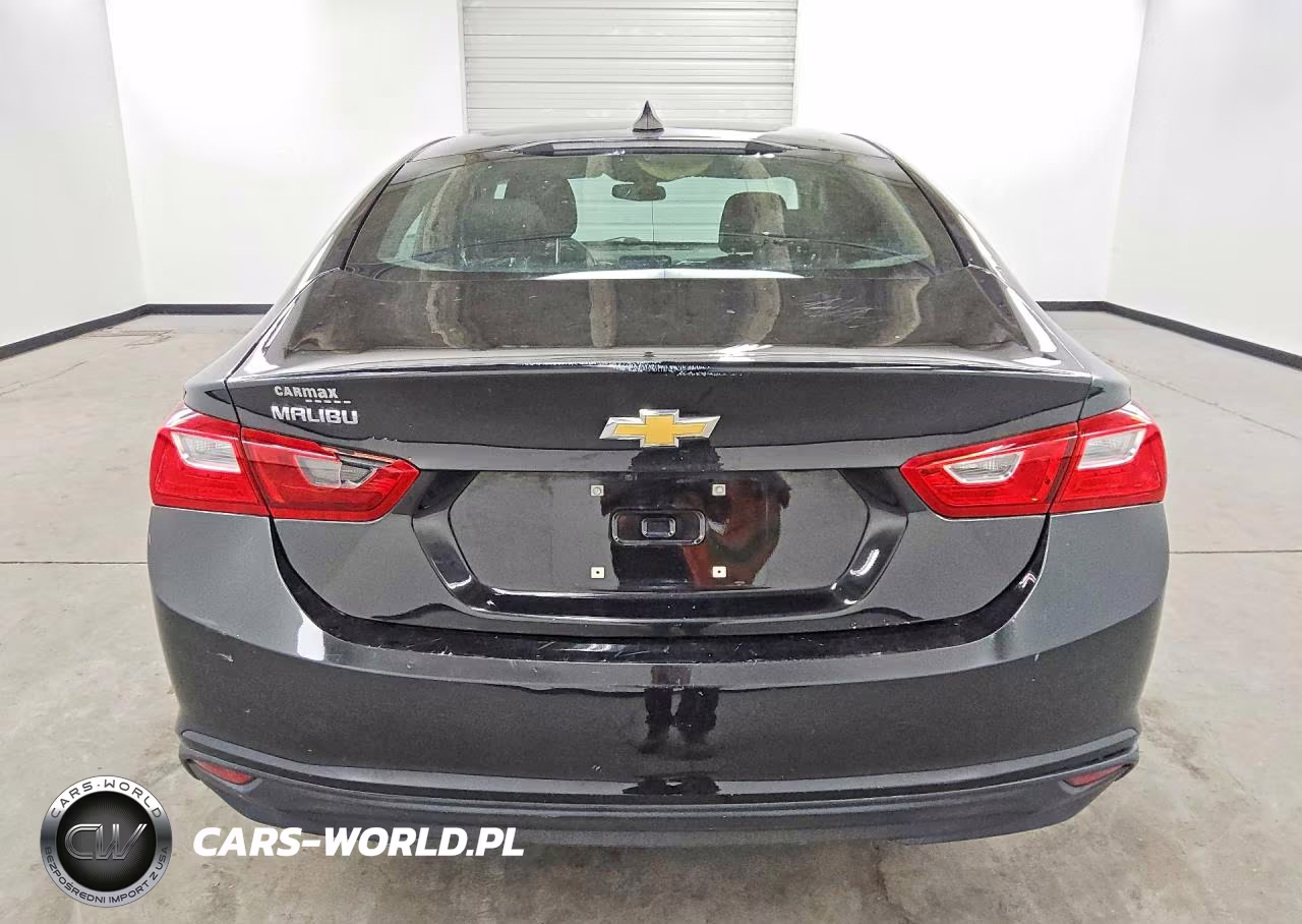 2019 Chevrolet Malibu Ls VIN:1G1ZB5ST5KF197102 - 6