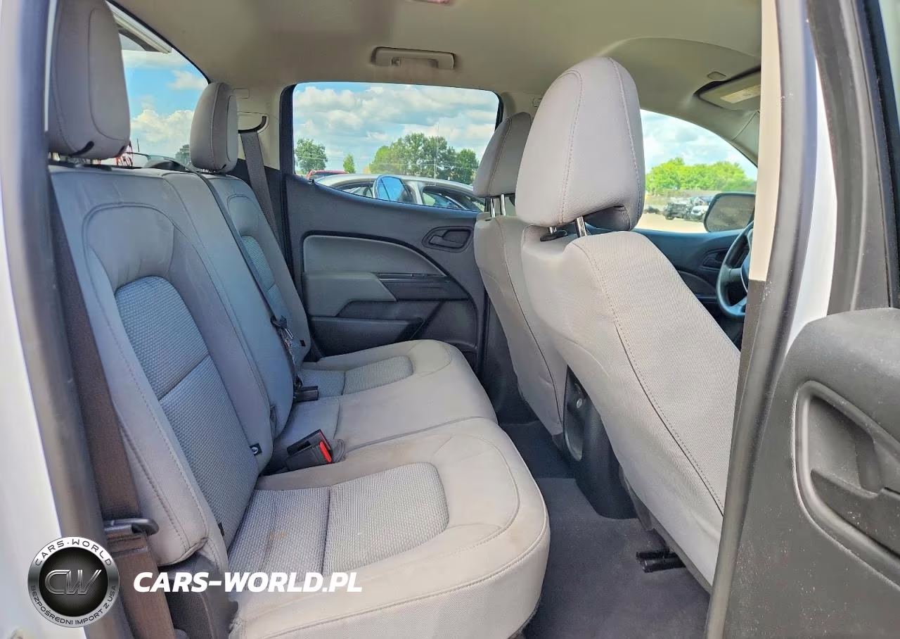 2019 Chevrolet Colorado VIN:1GCGSBEA9K1334367 - 10