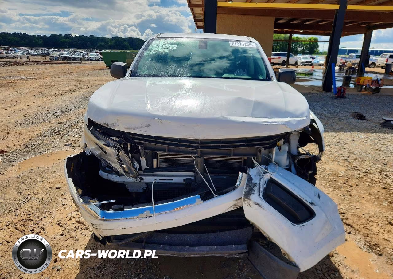 2019 Chevrolet Colorado VIN:1GCGSBEA9K1334367 - 5