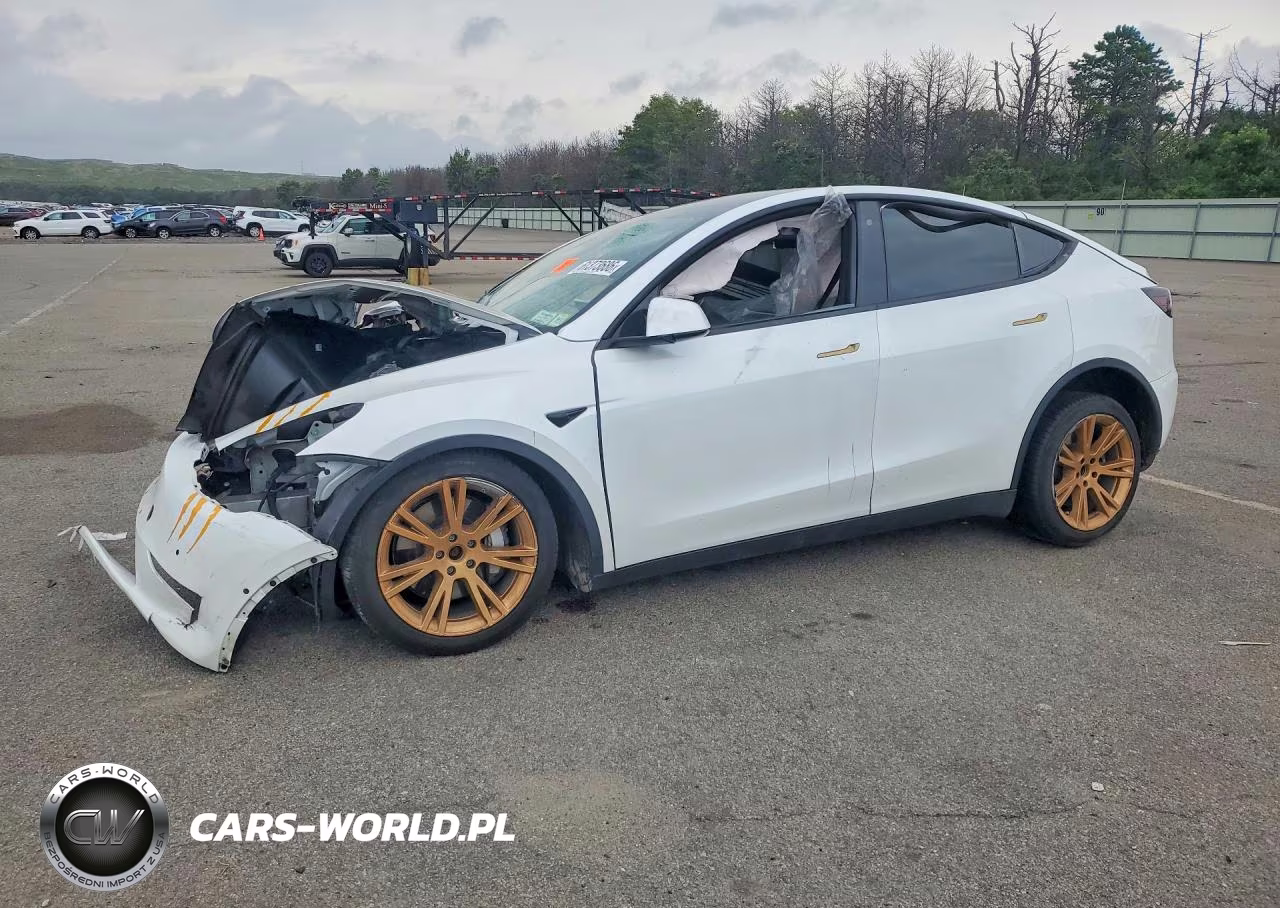 2020 Tesla Model Y – zdjęcie 1 z 12