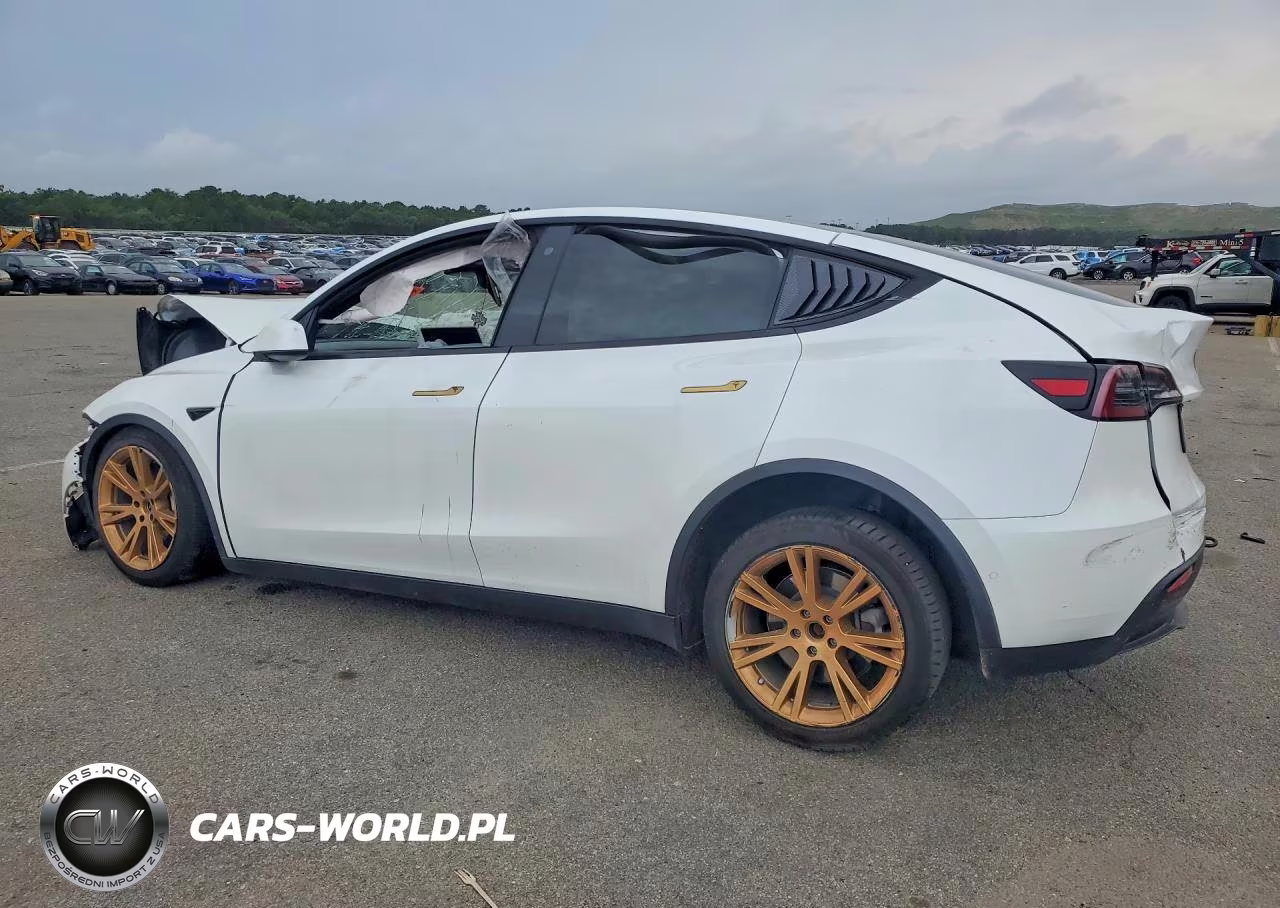 2020 Tesla Model Y VIN:5YJYGDEE7LF012436 - 2