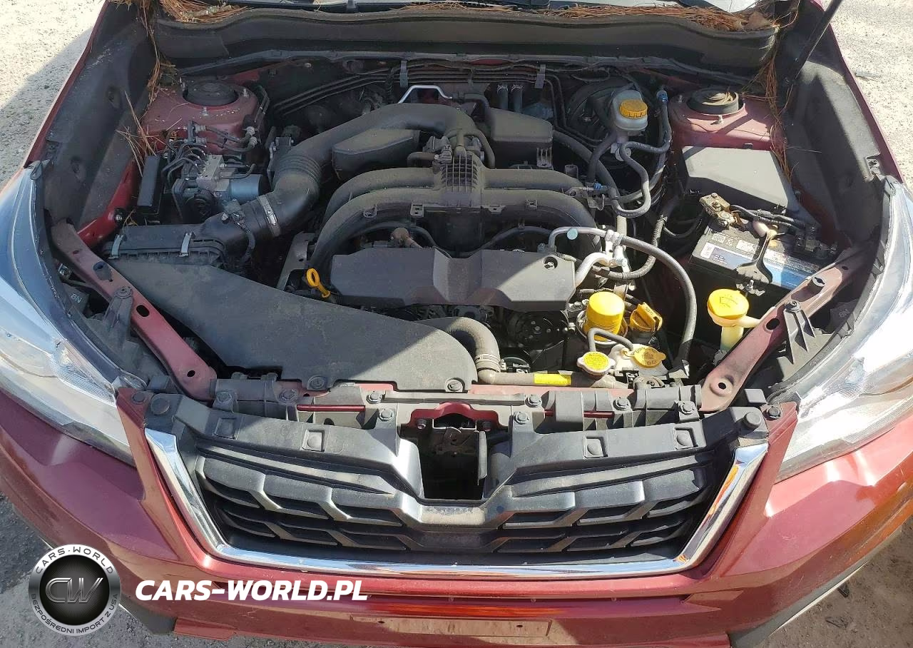 2018 Subaru Forester 2.5I Premium VIN:JF2SJAGC4JH575721 - 12