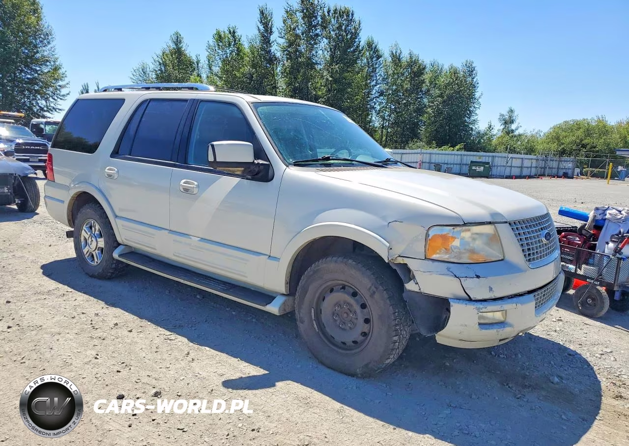 2005 Ford Expedition Limited VIN:1FMFU20595LB03358 - 4