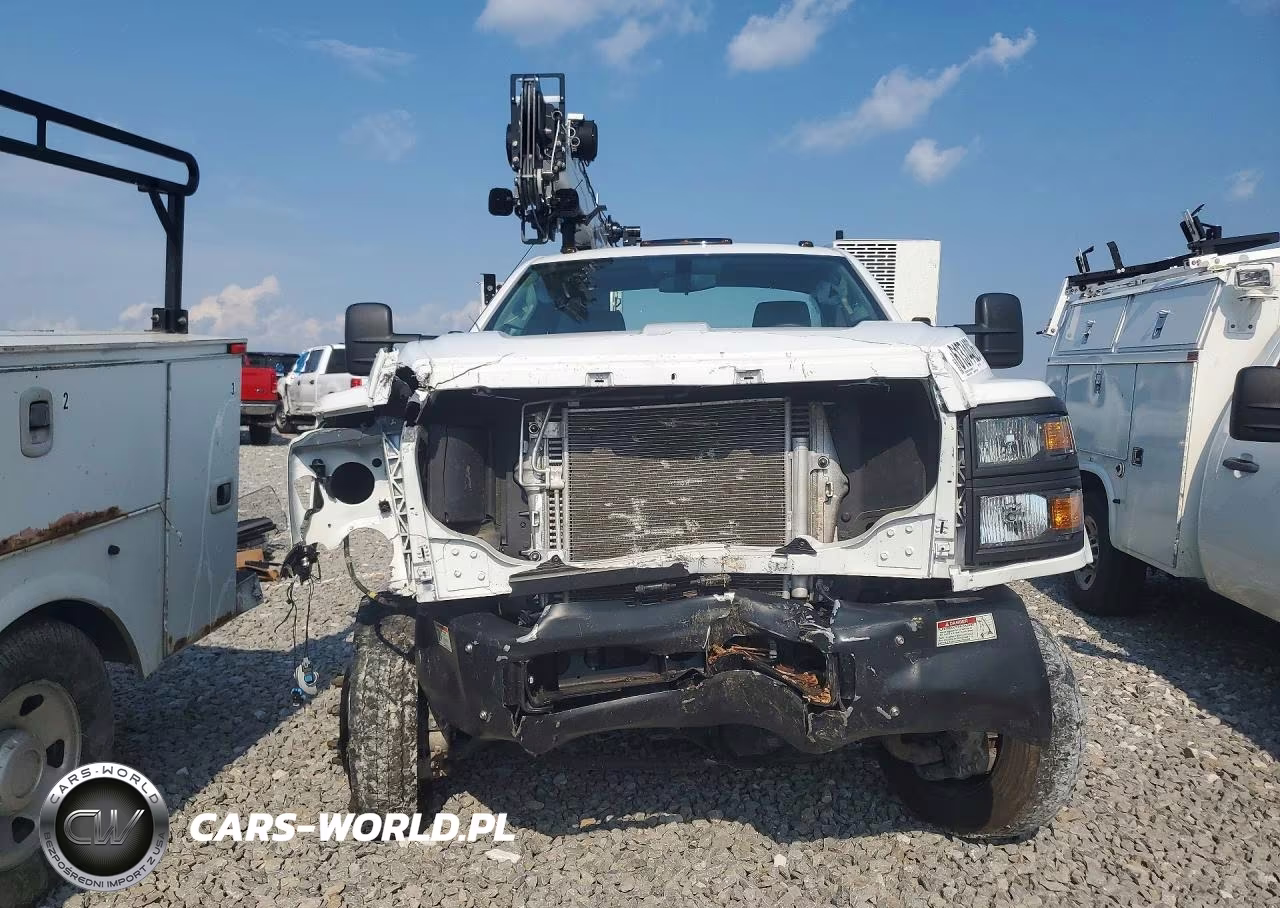 2023 Chevrolet Silverado Medium Duty VIN:1HTKJPVM6PH725921 - 5