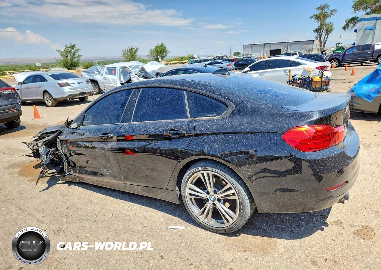 2017 BMW 430I Gran Coupe VIN:WBA4F7C5XHG787023 - 2