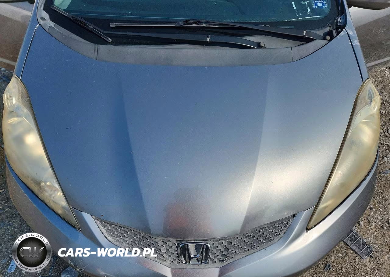 2010 Honda Fit Sport VIN:JHMGE8H63AS021923 - 11