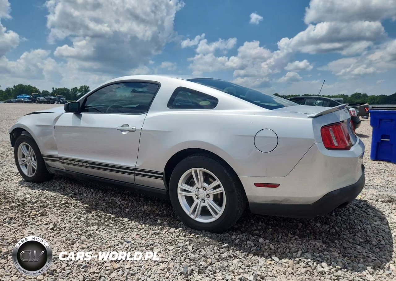2011 Ford Mustang VIN:1ZVBP8AM8B5103898 - 2