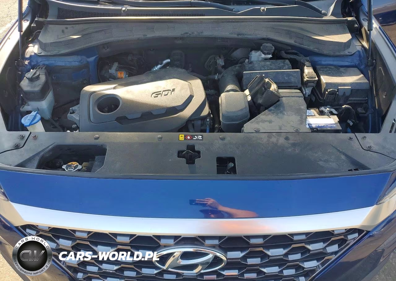 2019 Hyundai Santa Fe Sel 2.4L VIN:5NMS33AD6KH127695 - 12