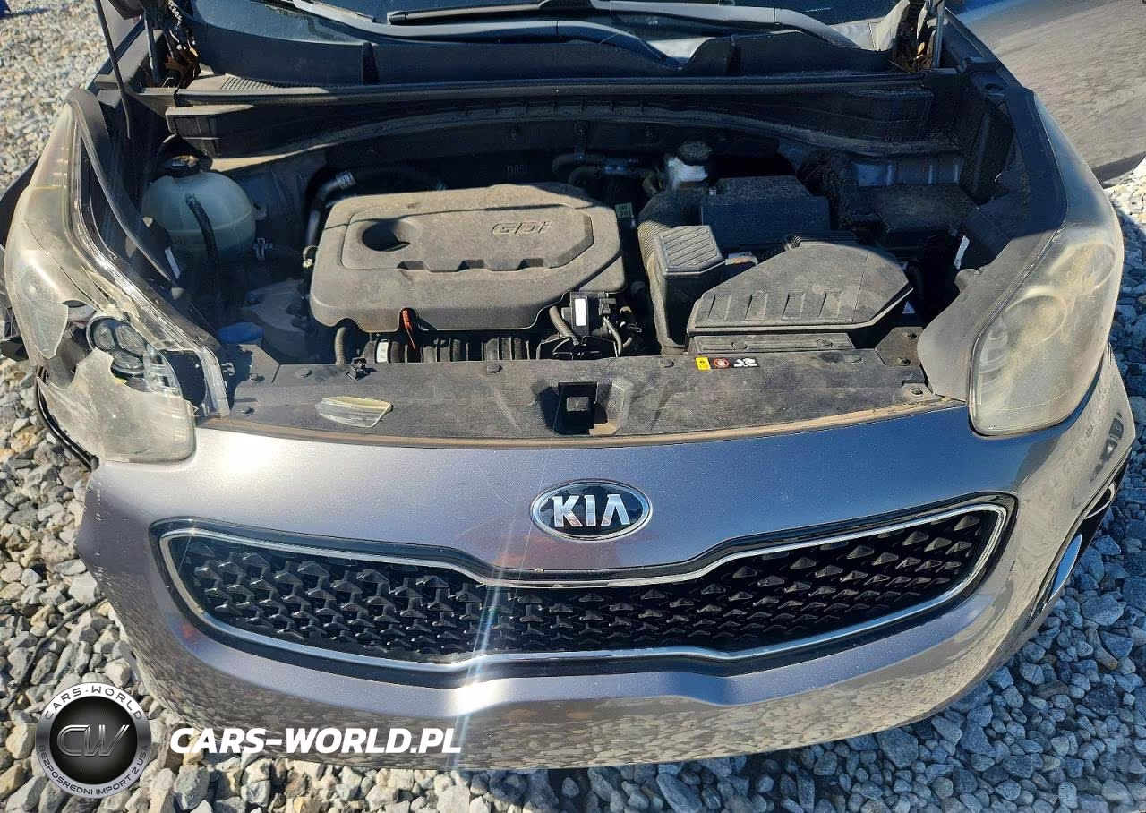 2018 Kia Sportage Lx VIN:KNDPMCACXJ7329844 - 12