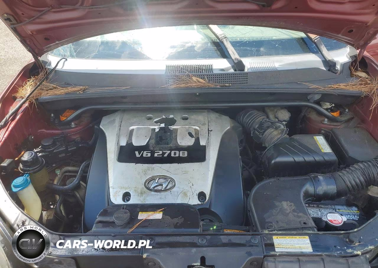 2005 Hyundai Tucson Gls VIN:KM8JN12D35U110791 - 11