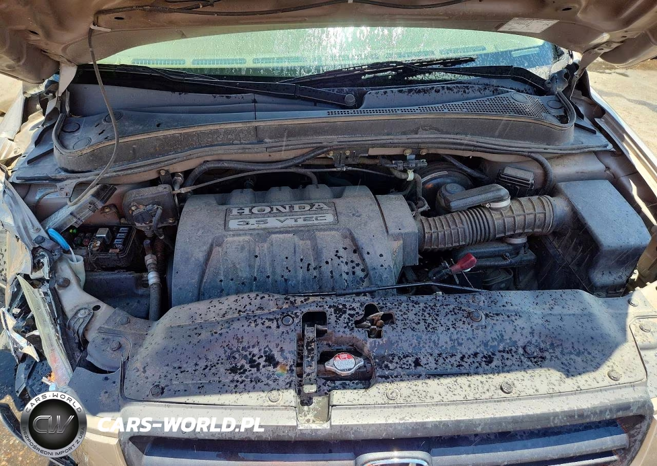 2005 Honda Pilot Ex VIN:5FNYF18455B030134 - 12