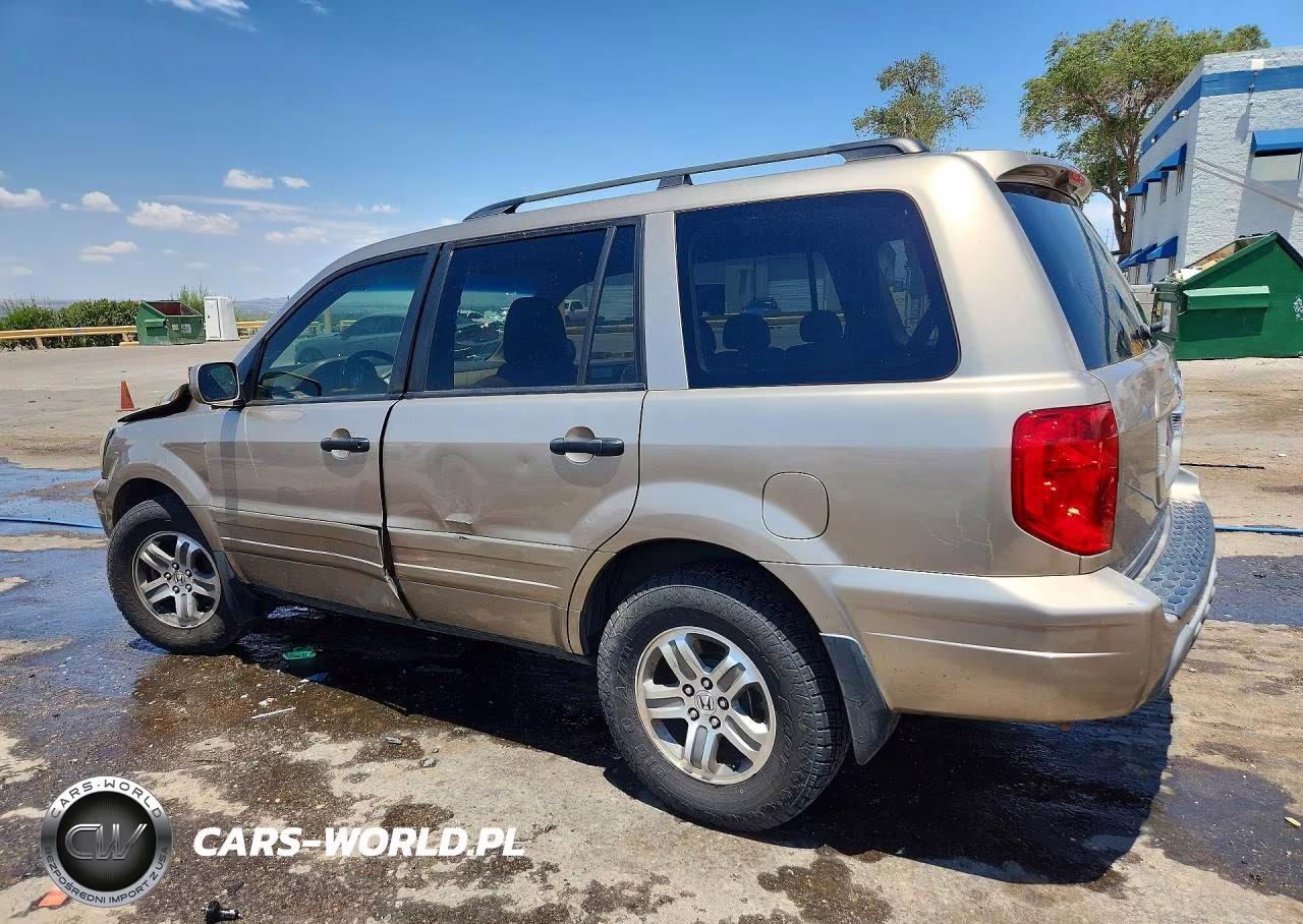 2005 Honda Pilot Ex VIN:5FNYF18455B030134 - 2