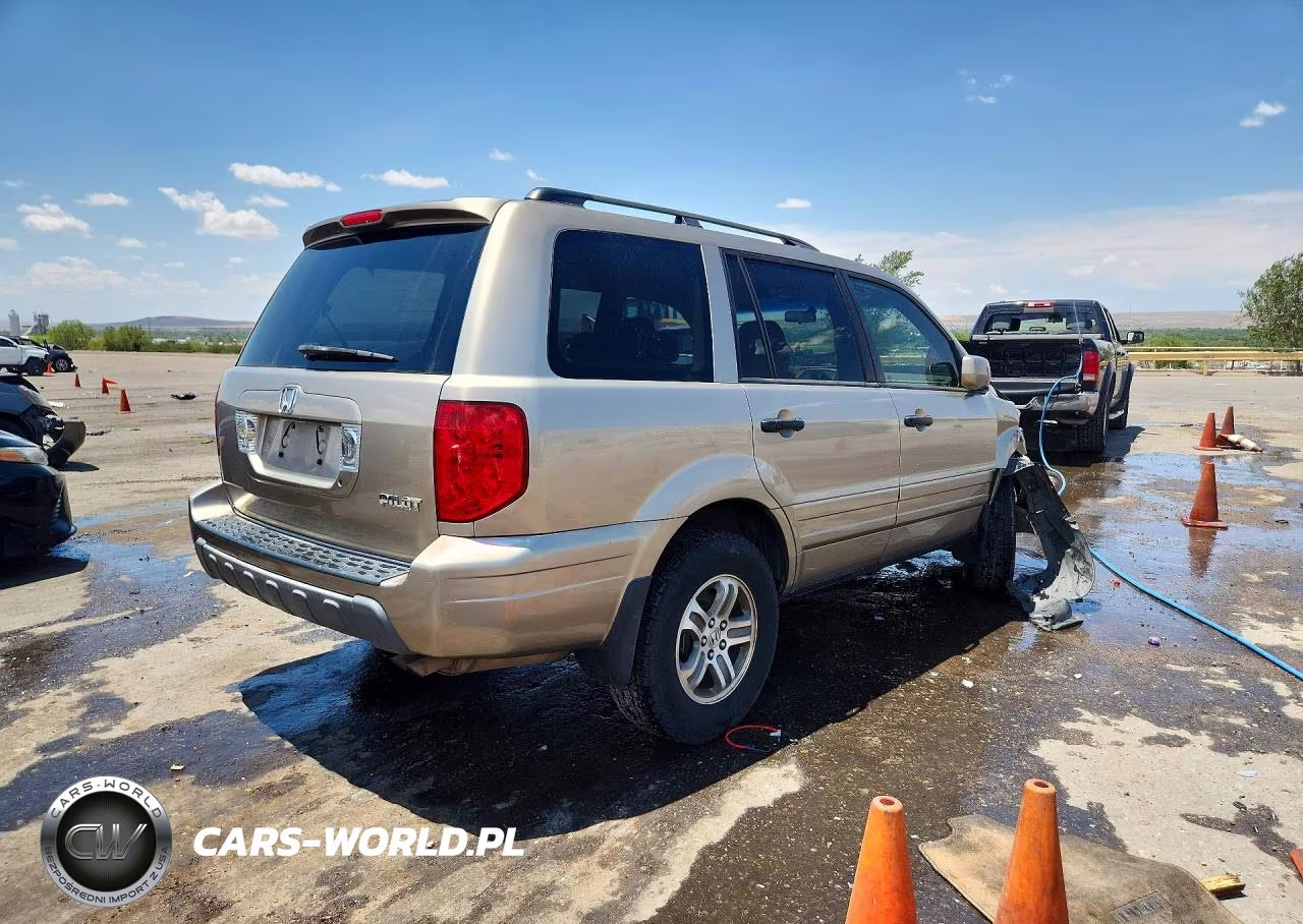 2005 Honda Pilot Ex VIN:5FNYF18455B030134 - 3
