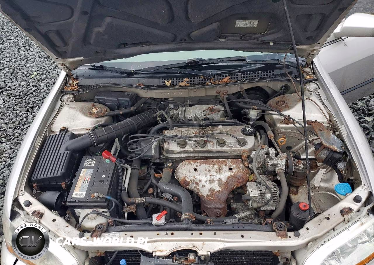 1998 Honda Accord Lx VIN:1HGCG5641WA007351 - 11