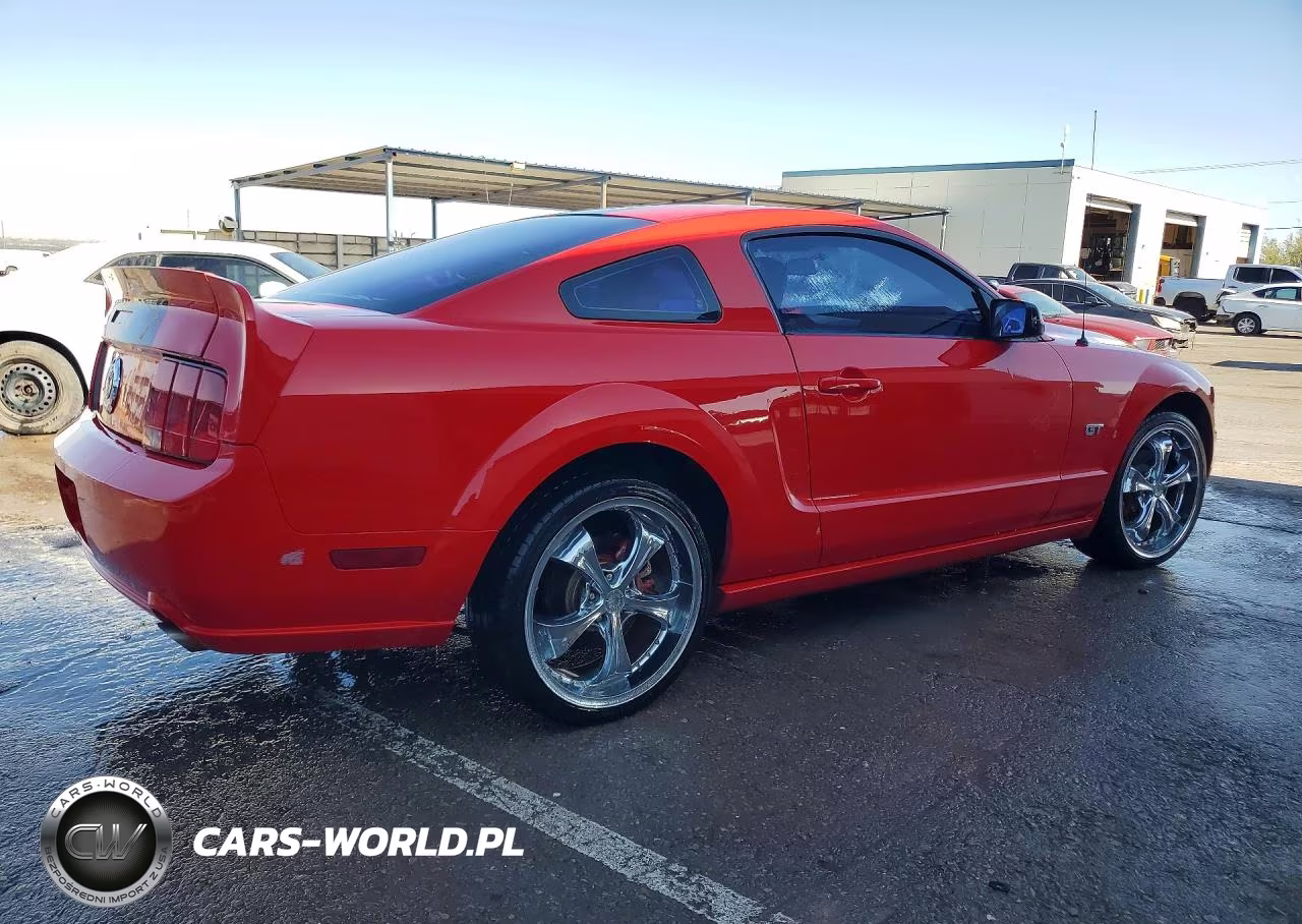 2006 Ford Mustang Gt VIN:1ZVHT82H165130048 - 3