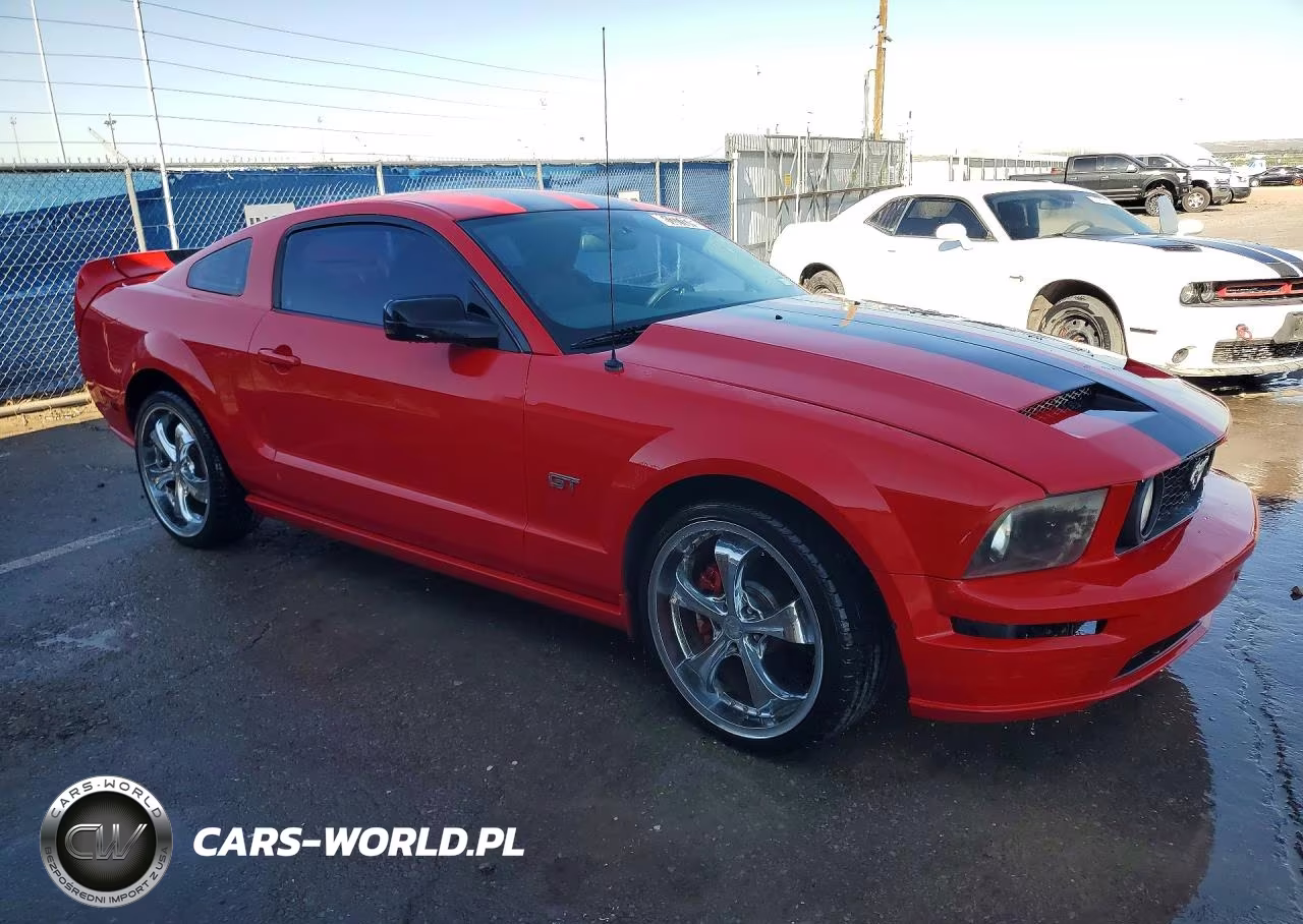 2006 Ford Mustang Gt VIN:1ZVHT82H165130048 - 4