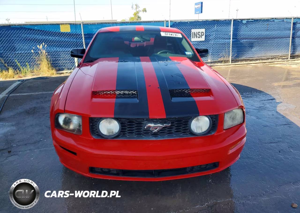 2006 Ford Mustang Gt VIN:1ZVHT82H165130048 - 5