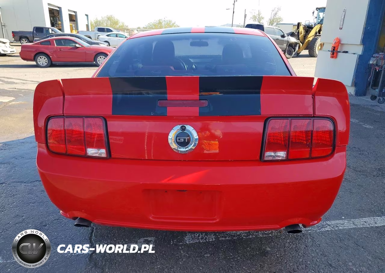 2006 Ford Mustang Gt VIN:1ZVHT82H165130048 - 6
