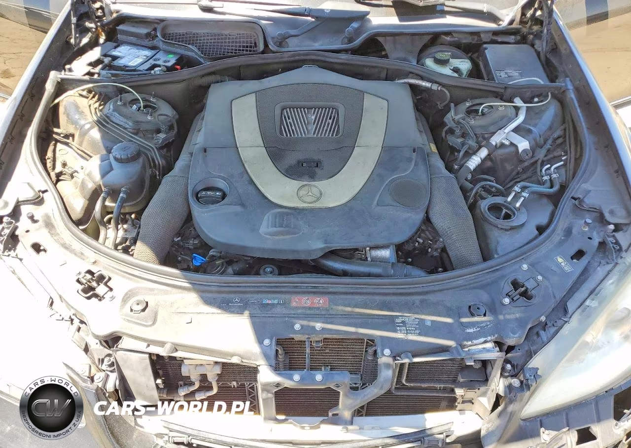 2008 Mercedes-Benz S 550 VIN:WDDNG71X98A216253 - 11