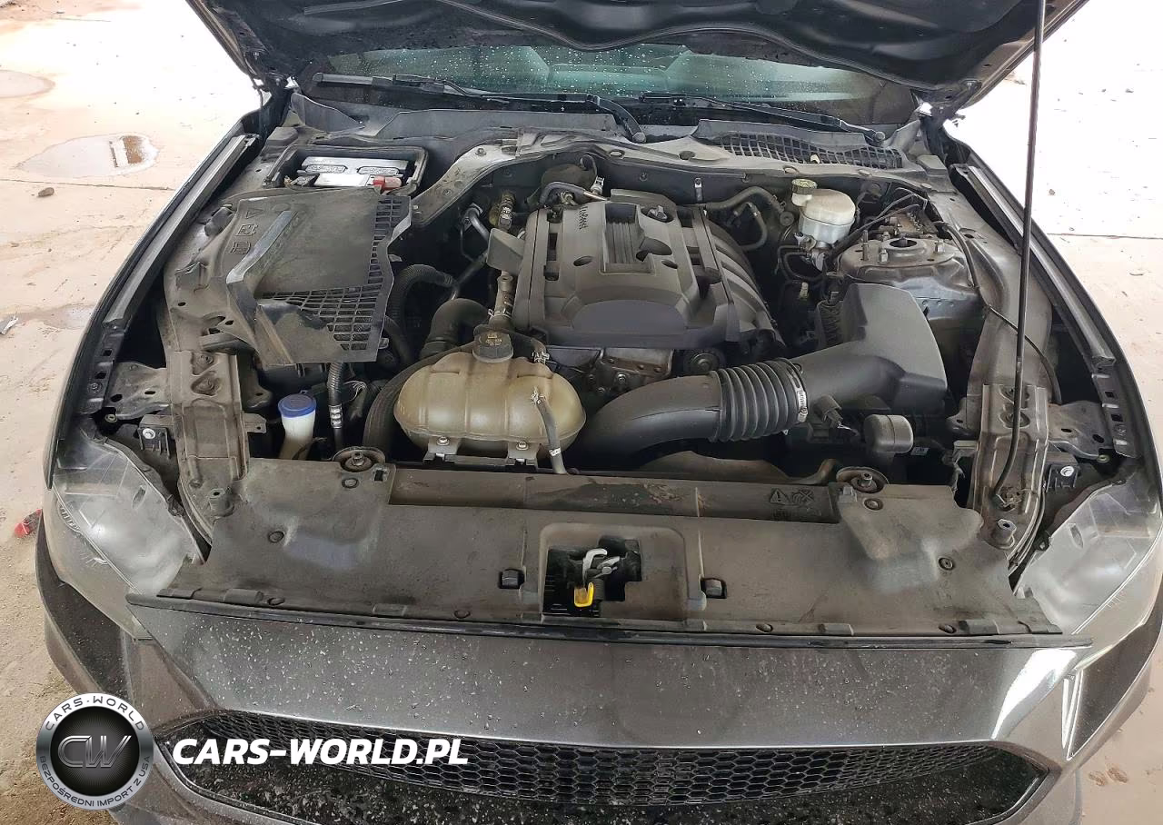 2020 Ford Mustang VIN:1FA6P8THXL5131925 - 11