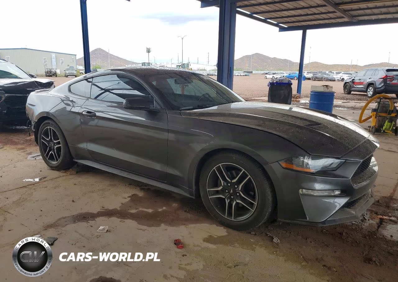 2020 Ford Mustang VIN:1FA6P8THXL5131925 - 4
