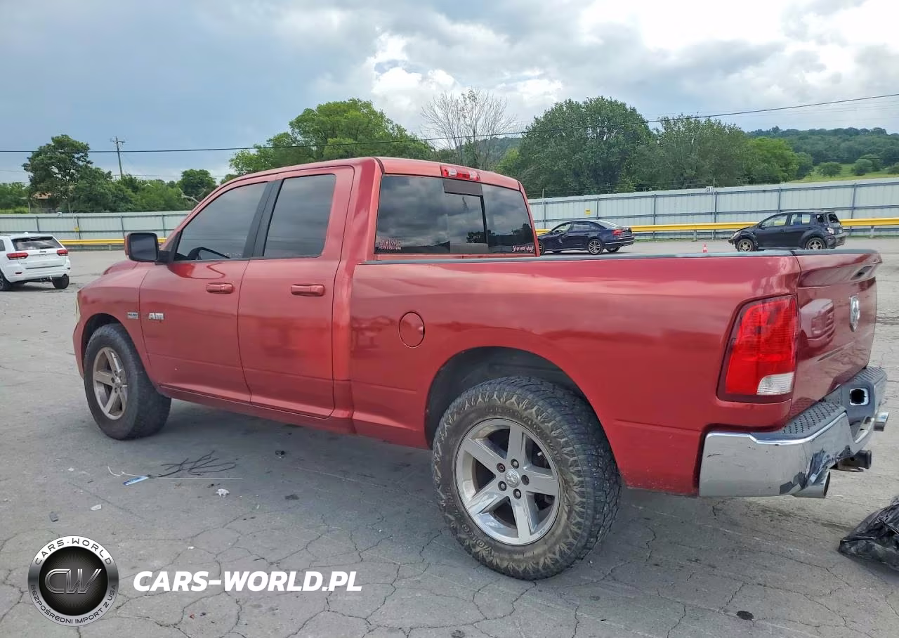 2009 Dodge Ram 1500 VIN:1D3HB18T19S773134 - 2