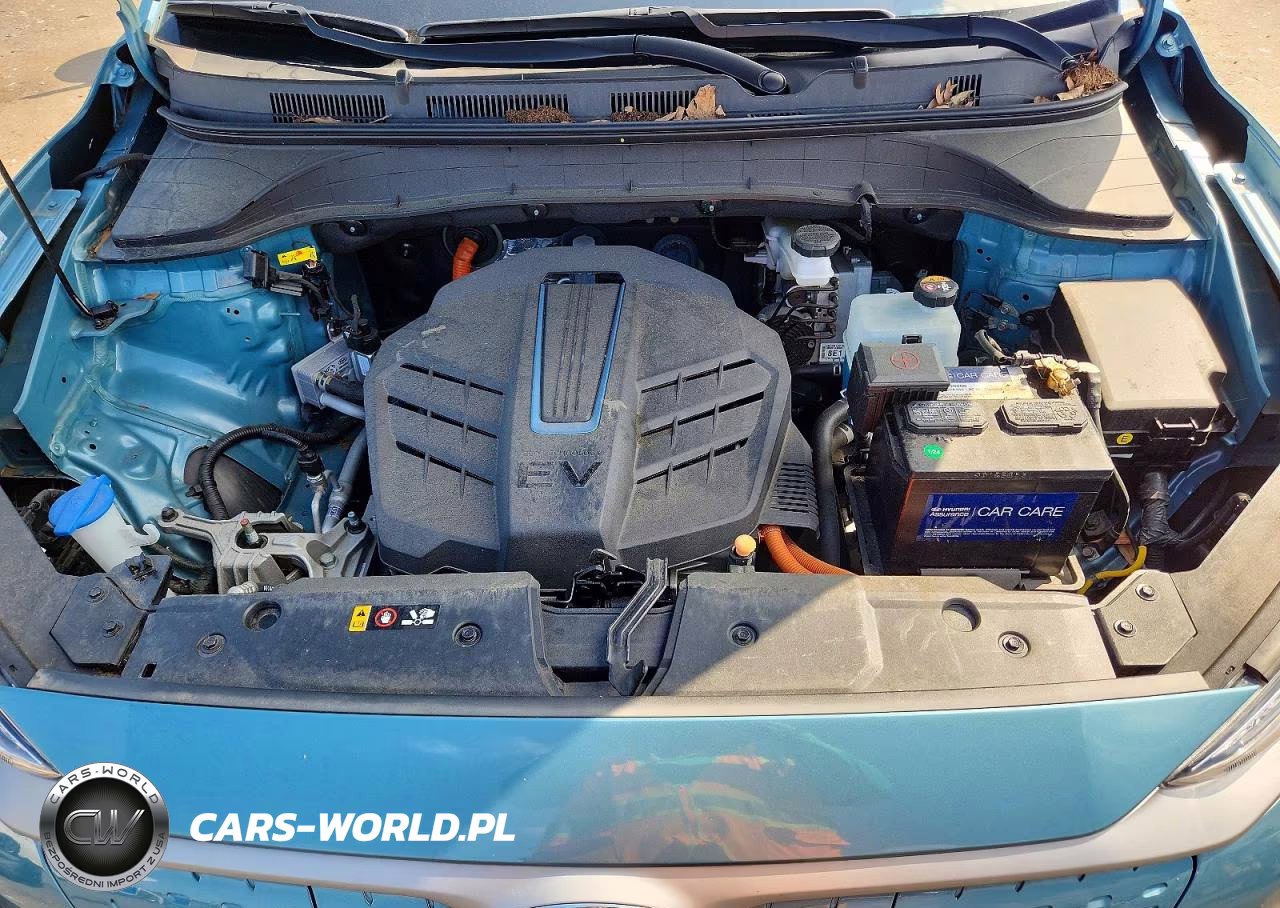 2021 Hyundai Kona Ultimate VIN:KM8K53AGXMU098228 - 12