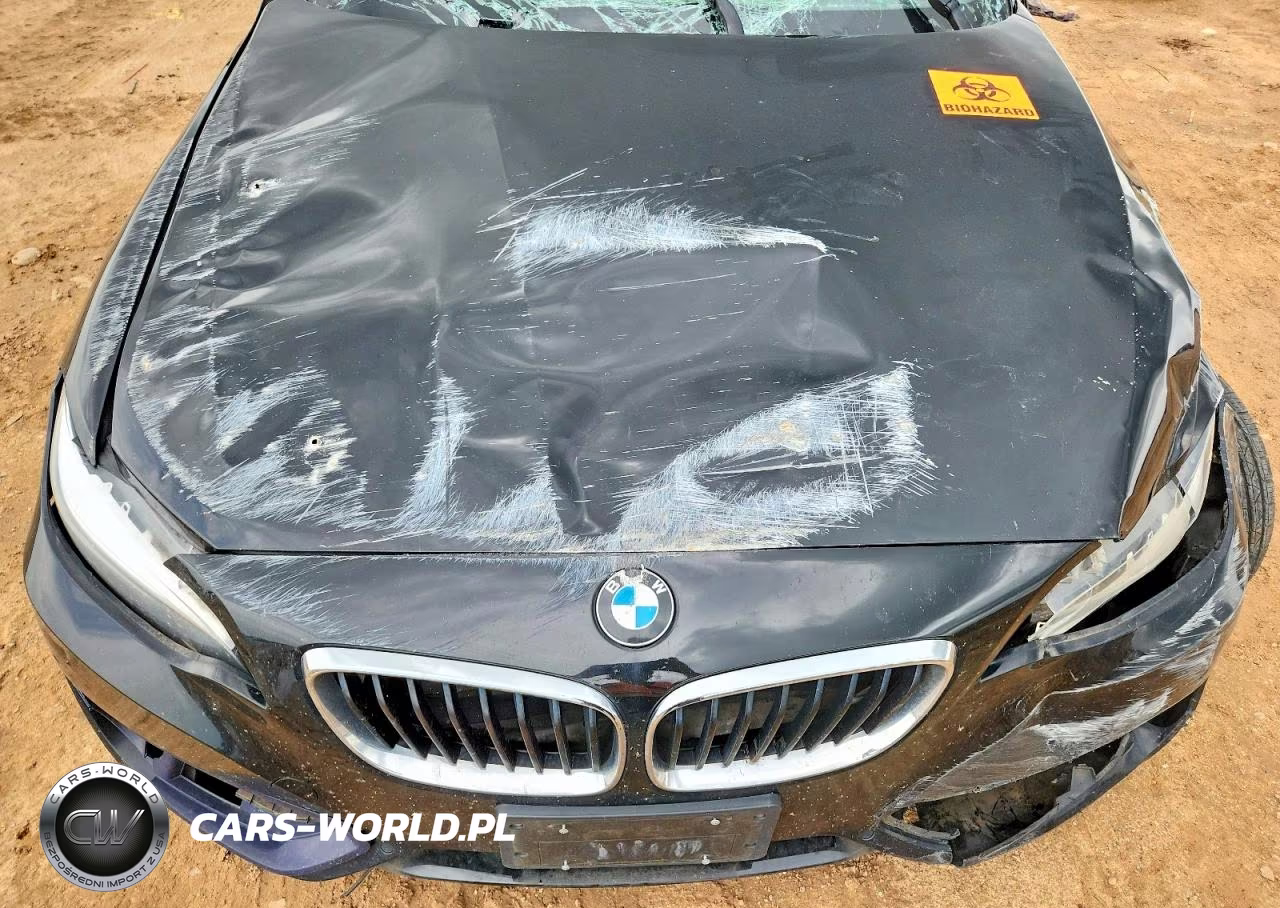 2016 BMW 228 I Sulev VIN:WBA1F9C55GV742189 - 11