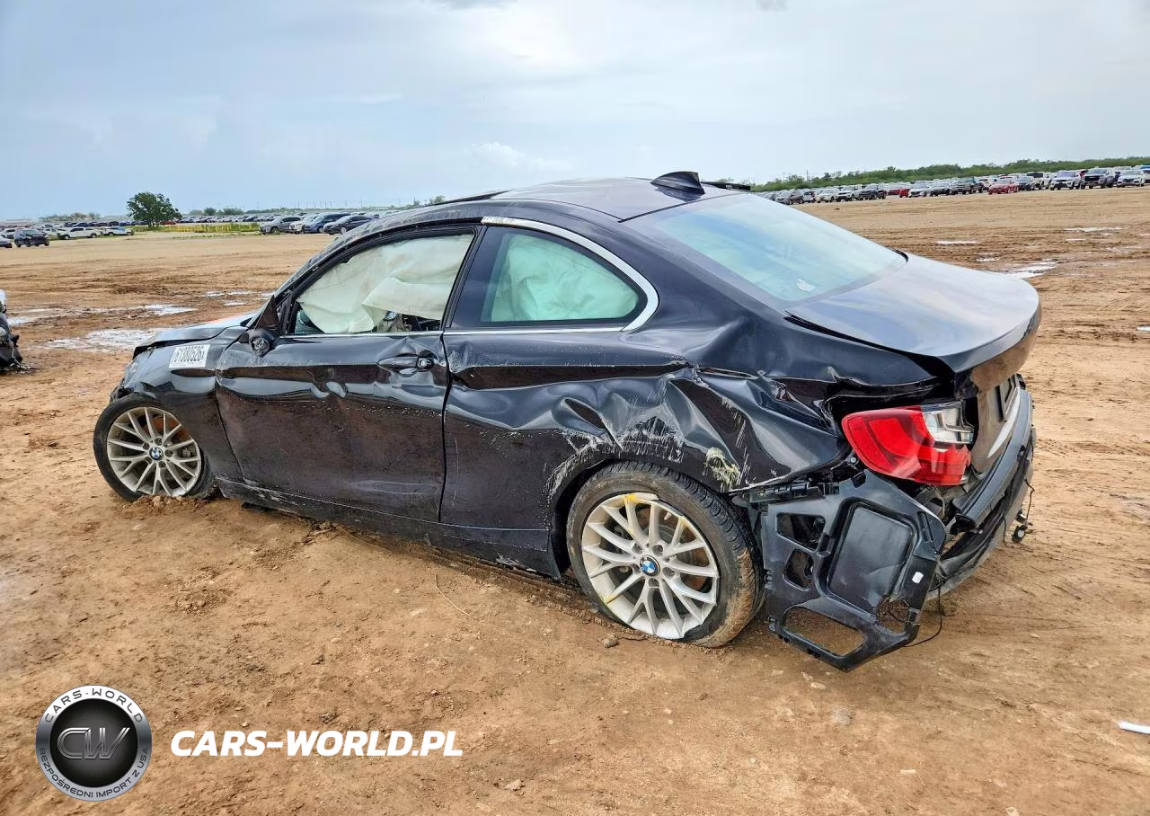 2016 BMW 228 I Sulev VIN:WBA1F9C55GV742189 - 2