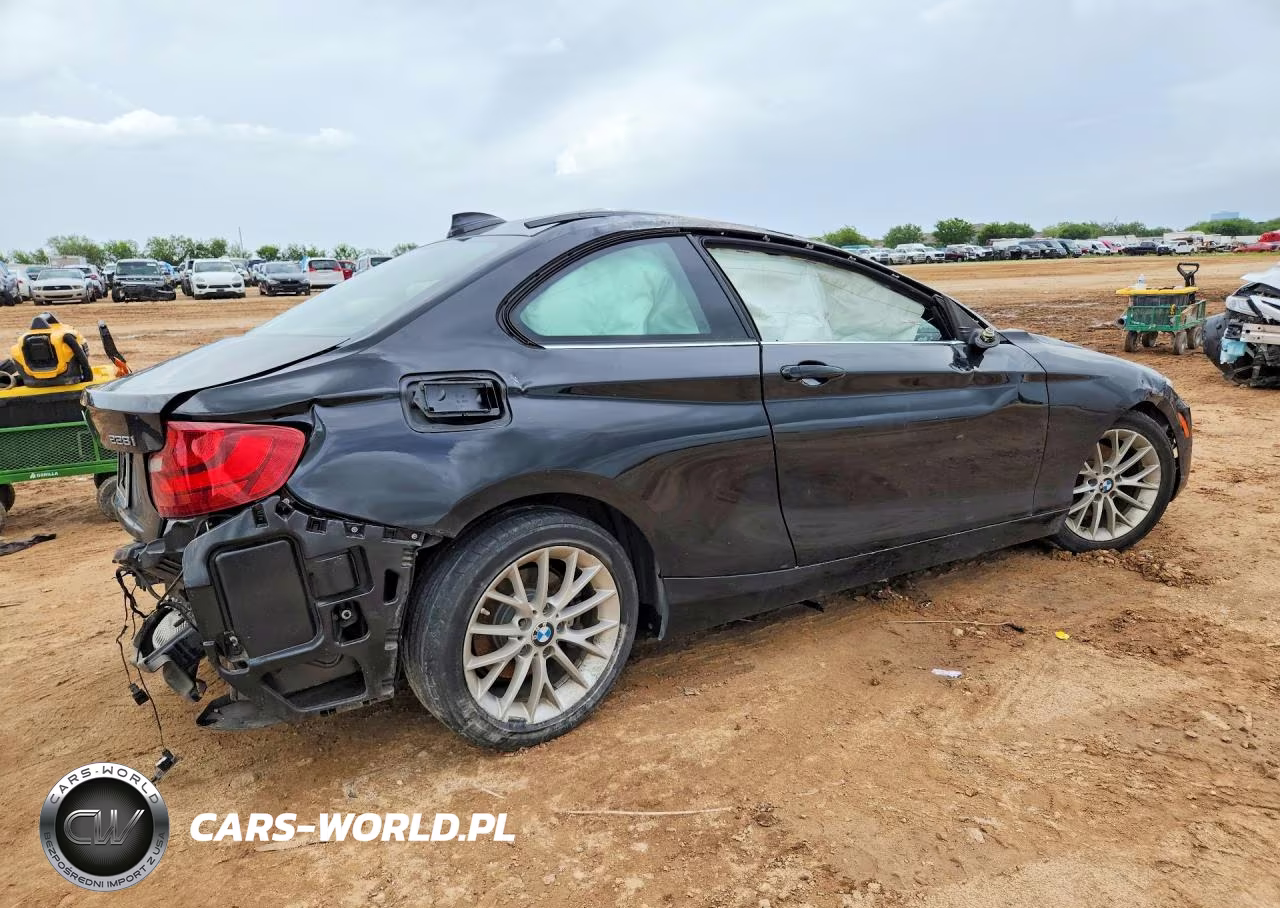 2016 BMW 228 I Sulev VIN:WBA1F9C55GV742189 - 3