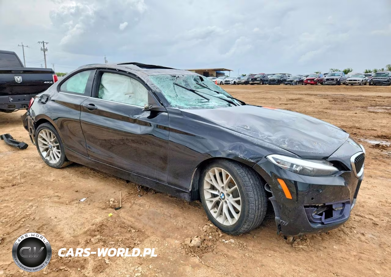 2016 BMW 228 I Sulev VIN:WBA1F9C55GV742189 - 4