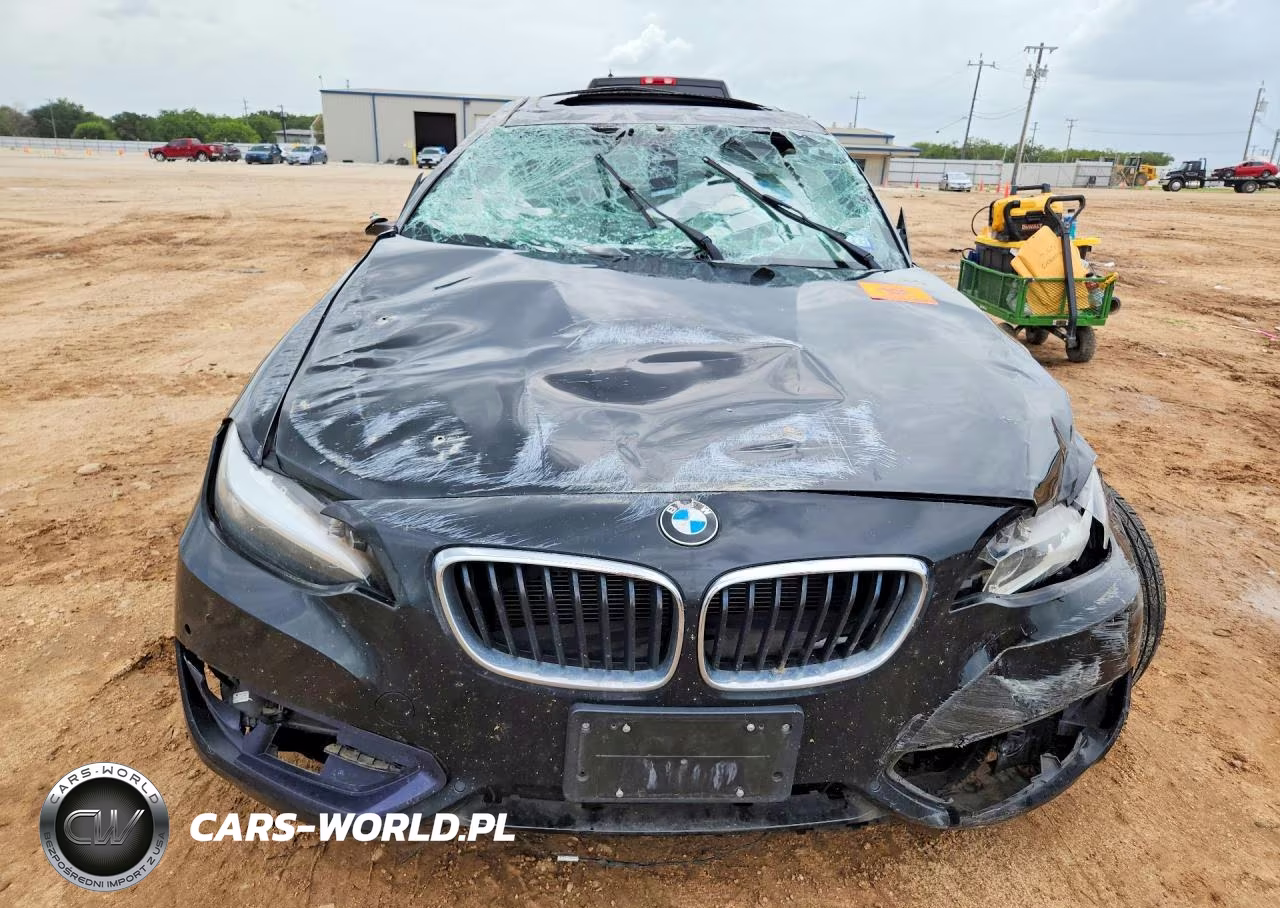 2016 BMW 228 I Sulev VIN:WBA1F9C55GV742189 - 5