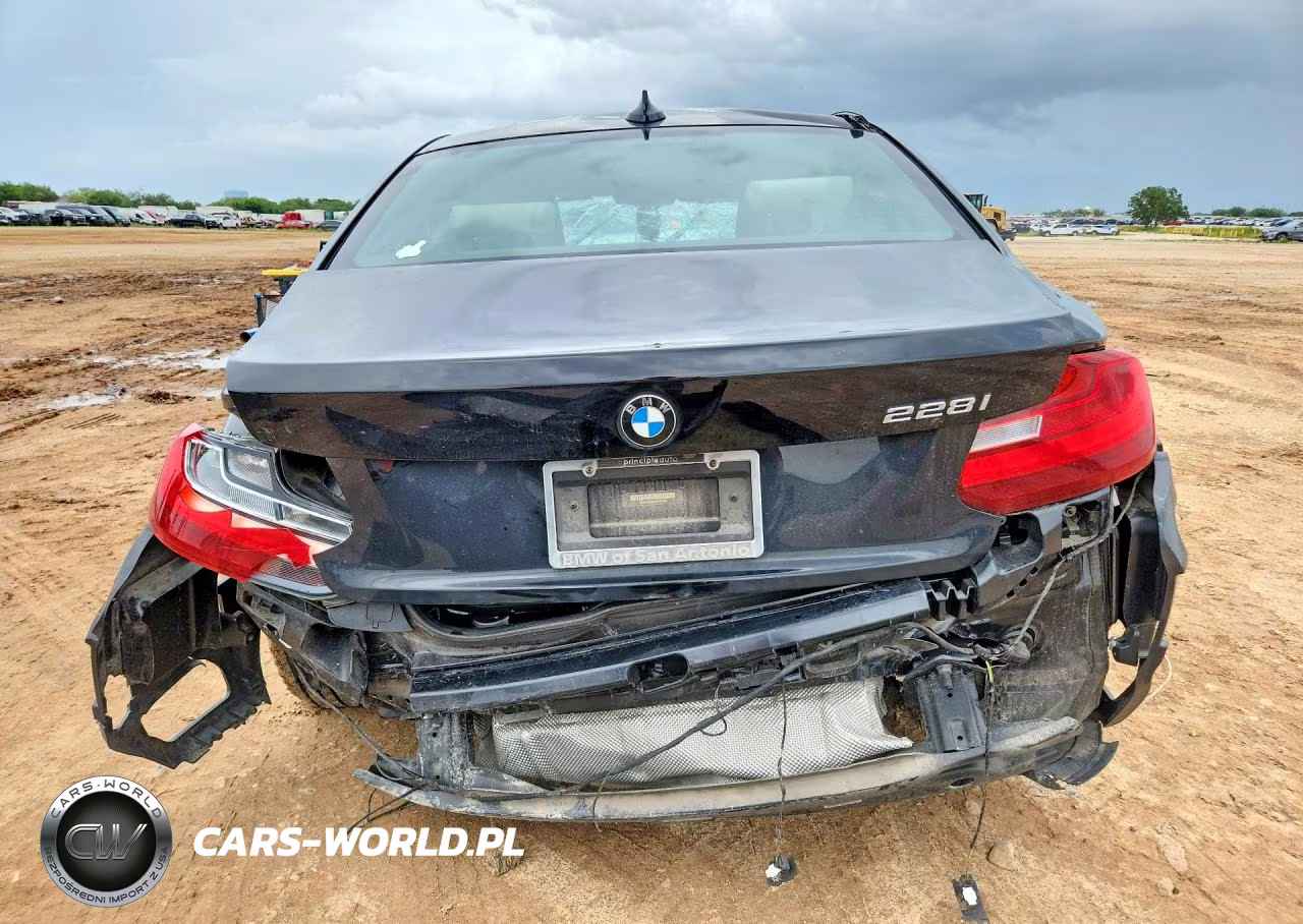 2016 BMW 228 I Sulev VIN:WBA1F9C55GV742189 - 6