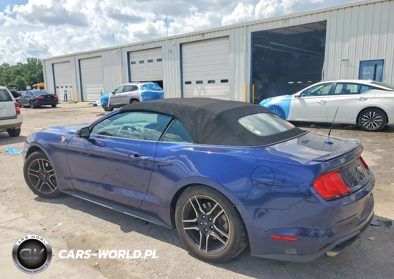 2020 Ford Mustang VIN:1FATP8UH6L5114458 - 2