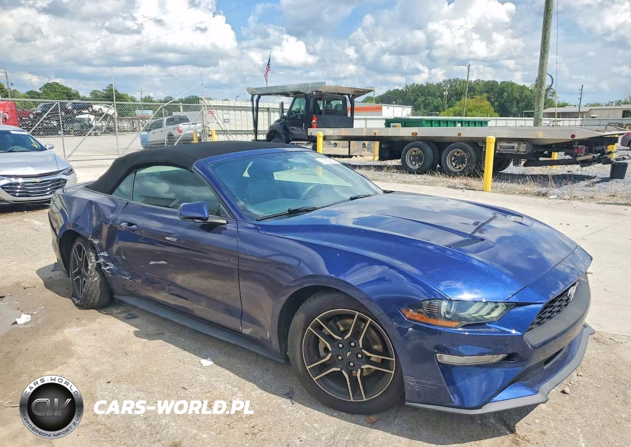 2020 Ford Mustang VIN:1FATP8UH6L5114458 - 4
