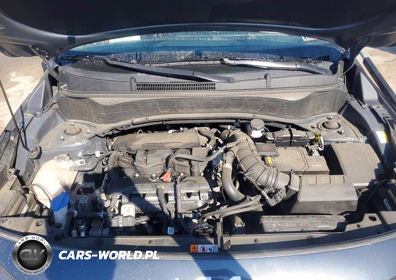 2024 Kia Seltos X Line VIN:KNDEUCA78R7593991 - 12
