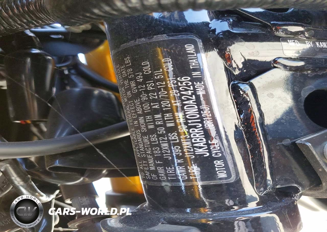 2022 Kawasaki Br125 J VIN:JKABRRJ10NDA24256 - 9