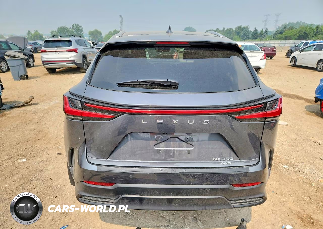 2025 Lexus Nx 350 Premium VIN:2T2GGCEZ5SC066650 - 6