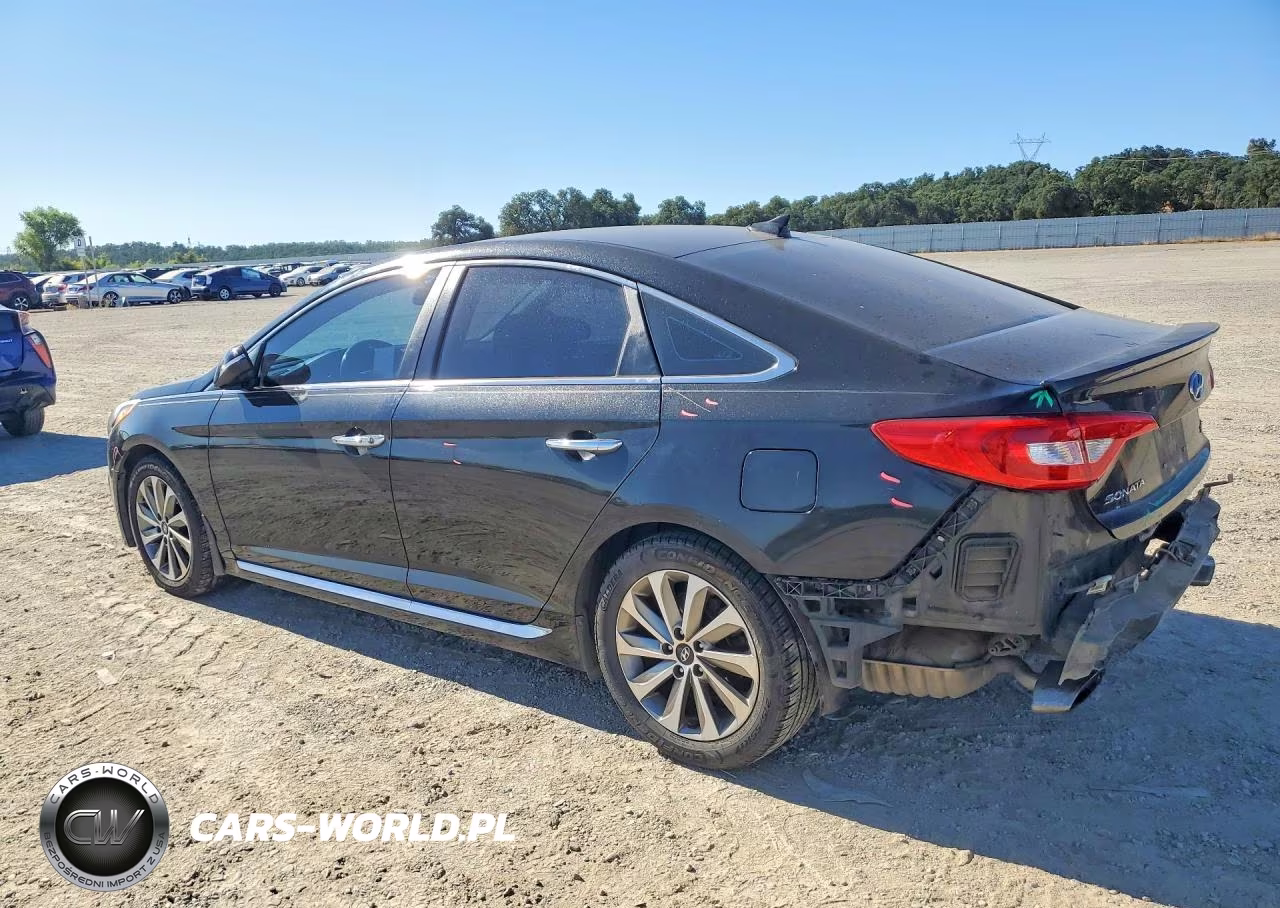 2016 Hyundai Sonata Sport VIN:5NPE34AF9GH415600 - 2