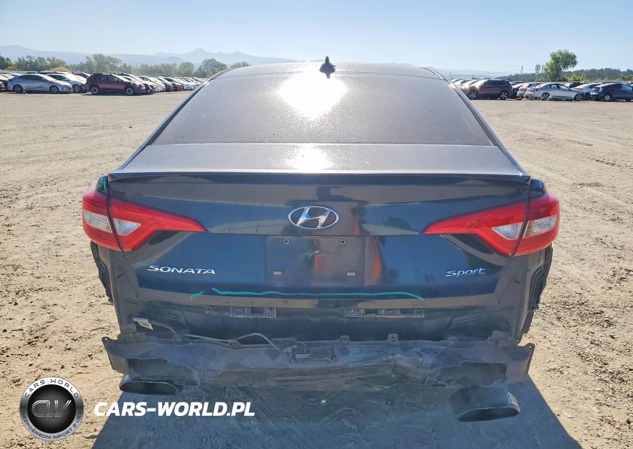 2016 Hyundai Sonata Sport VIN:5NPE34AF9GH415600 - 6