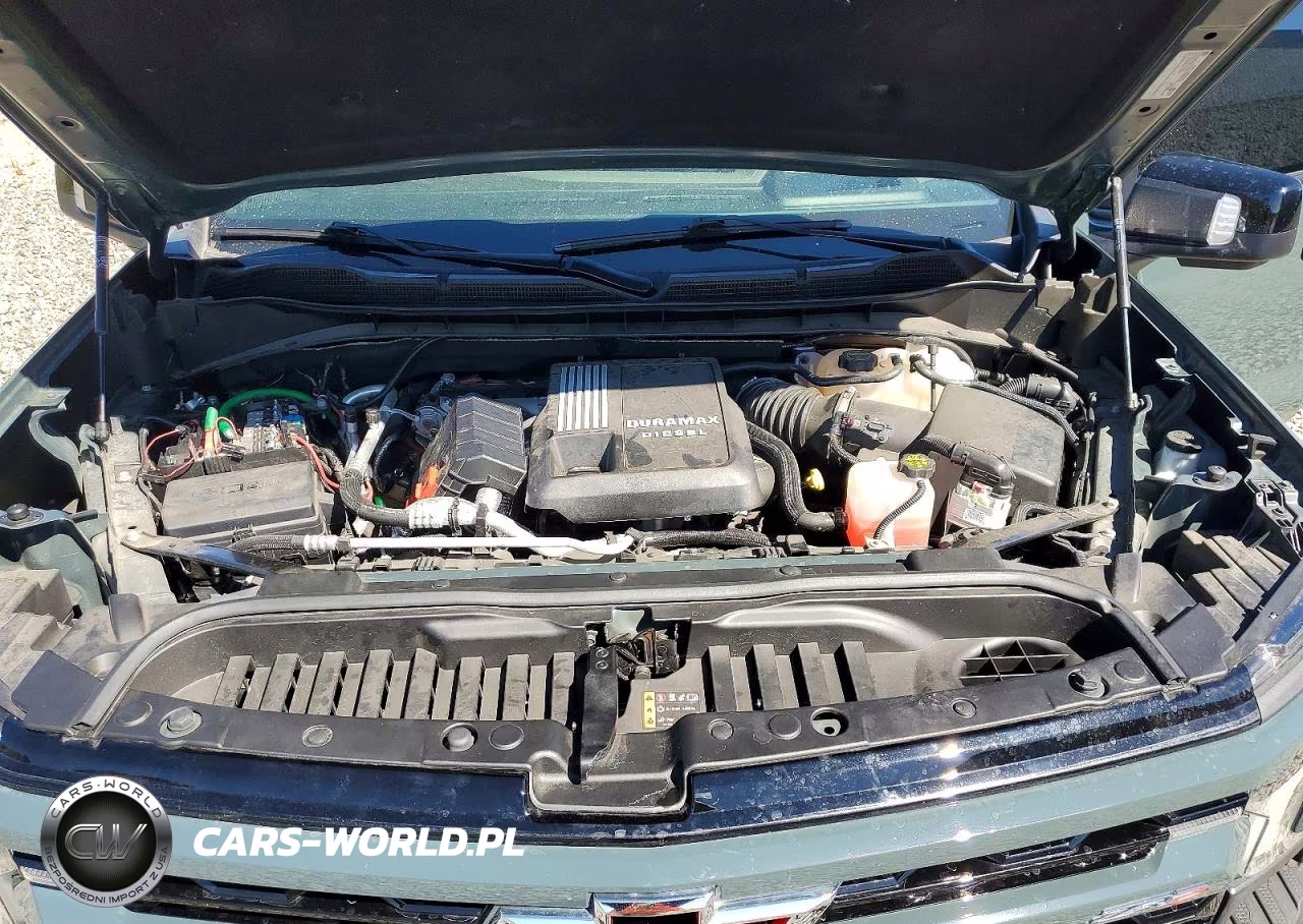 2025 Chevrolet Silverado K1500 Zr2 VIN:3GCUKHE86SG149259 - 11