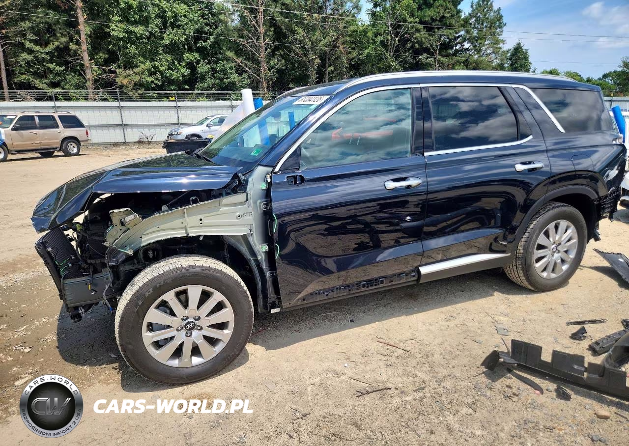 2025 Hyundai Palisade Sel VIN:KM8R2DGE3SU824382 - 1